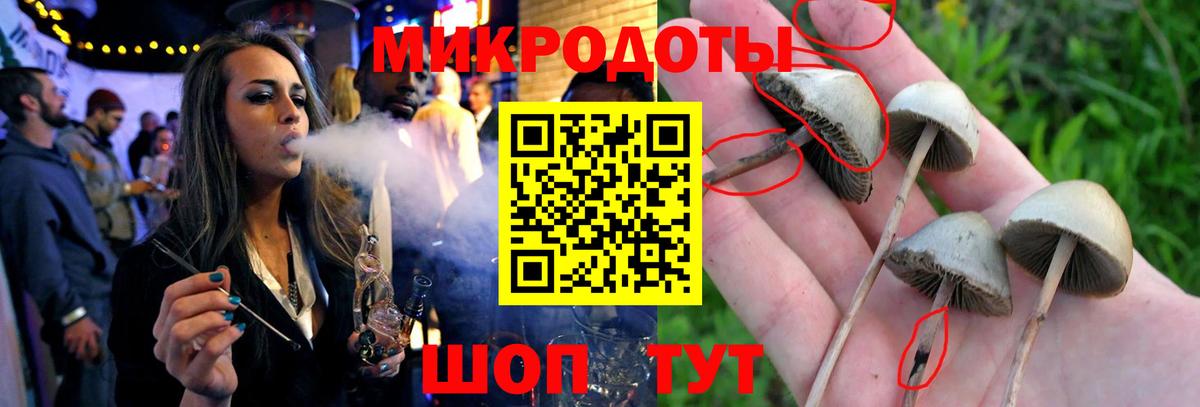 Псилоцибиновые грибы Psilocybine cubensis  Вход с VPN  Псилоцибиновые грибы мухоморы  Алексин 